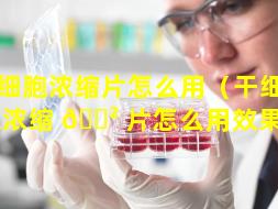 干细胞浓缩片怎么用（干细 ☘ 胞浓缩 🌲 片怎么用效果好）